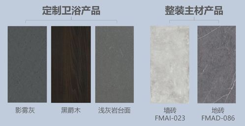 化妝間 熨衣間還是洗衣間 ta重新定義高效全能衛(wèi)浴