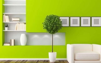 想要環保裝修 謹記這6條