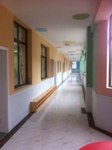 最新幼兒園簡裝護墻板 廠家直銷專利產品，打造安全環保的裝飾空間